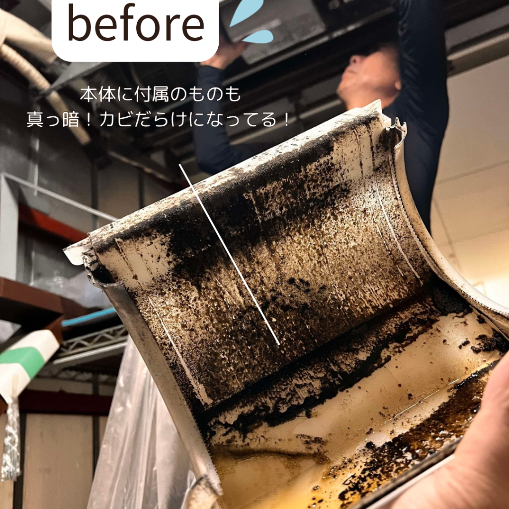 before-5-1-1024x1024 見た目だけでここまで変わる！