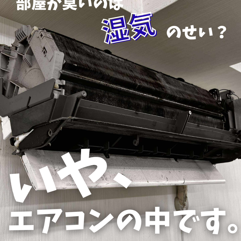 住まい119-instagram.zip-18-1024x1024 部屋が臭いのは“湿気”のせい？